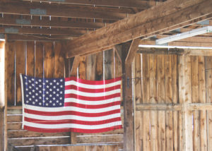Canva American Flag Hanging in a Barn Service Treatment Records