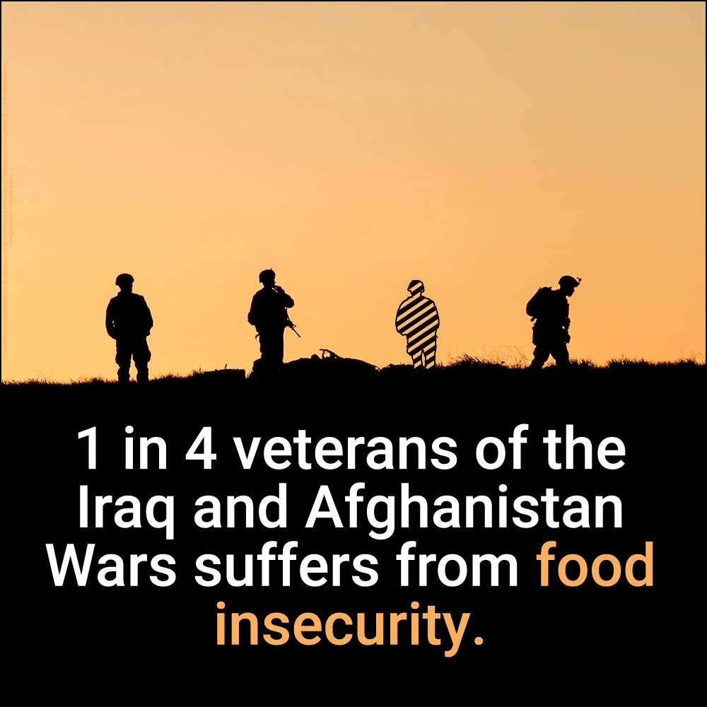 hunger Hunger and Food Instability for Veterans